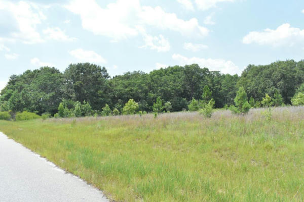 LOT 27 CHESTNUT LANE, GARFIELD, GA 30425 - Image 1