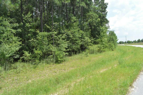 LOT 37 SCARLETT OAK LANE, GARFIELD, GA 30420 - Image 1